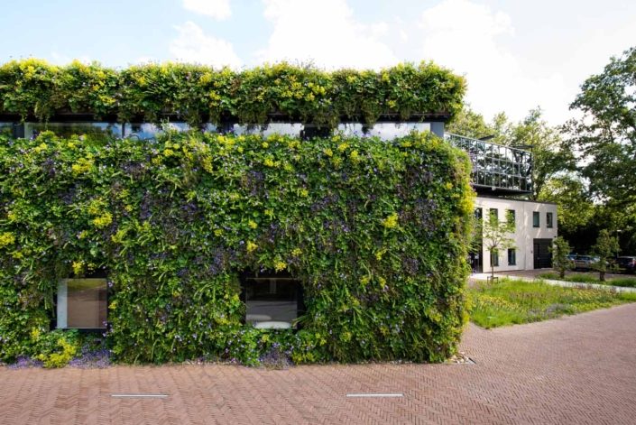 Mobilane Living Wall